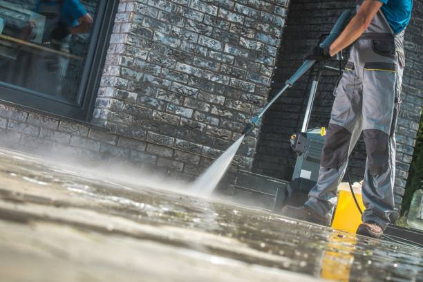 Animal Enclosure Cleaning in Rosanky, TX